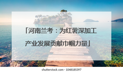 河南兰考：为红薯深加工产业发展贡献巾帼力量