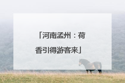 河南孟州：荷香引得游客来