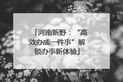 河南新野：“高效办成一件事”解锁办事新体验