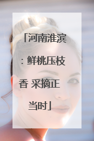 河南淮滨：鲜桃压枝香 采摘正当时
