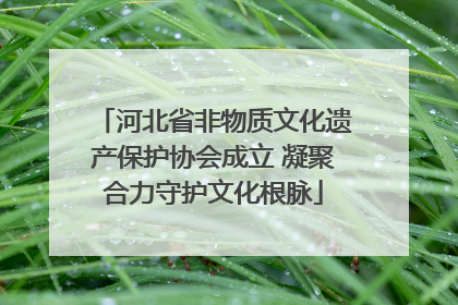 河北省非物质文化遗产保护协会成立 凝聚合力守护文化根脉