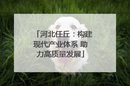 河北任丘：构建现代产业体系 助力高质量发展