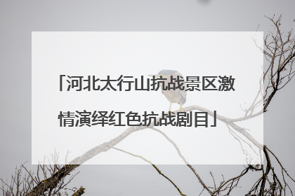 河北太行山抗战景区激情演绎红色抗战剧目