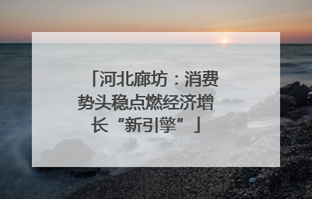 河北廊坊：消费势头稳点燃经济增长“新引擎”