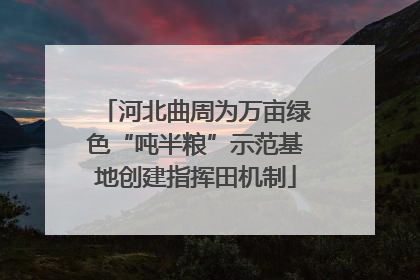 河北曲周为万亩绿色“吨半粮”示范基地创建指挥田机制