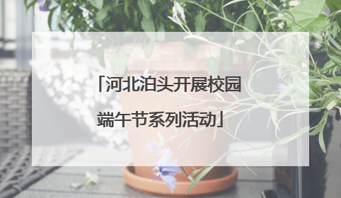 河北泊头开展校园端午节系列活动