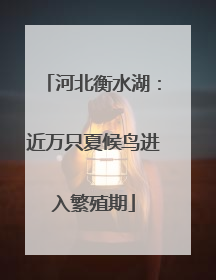 河北衡水湖：近万只夏候鸟进入繁殖期