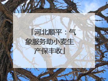 河北顺平：气象服务助小麦生产保丰收