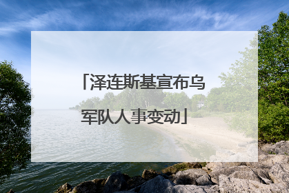 泽连斯基宣布乌军队人事变动