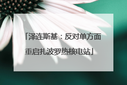 泽连斯基：反对单方面重启扎波罗热核电站