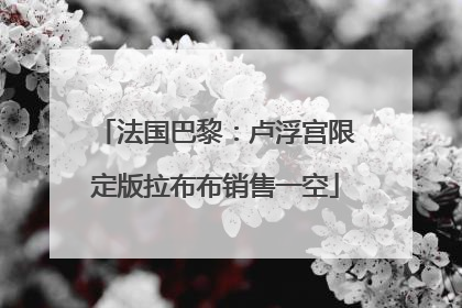 法国巴黎：卢浮宫限定版拉布布销售一空