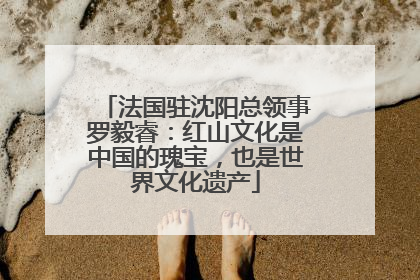法国驻沈阳总领事罗毅睿：红山文化是中国的瑰宝，也是世界文化遗产