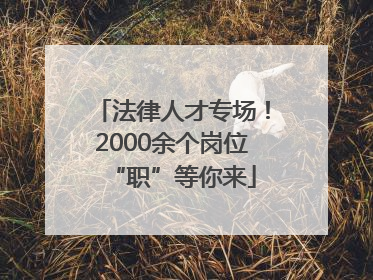 法律人才专场！2000余个岗位“职”等你来