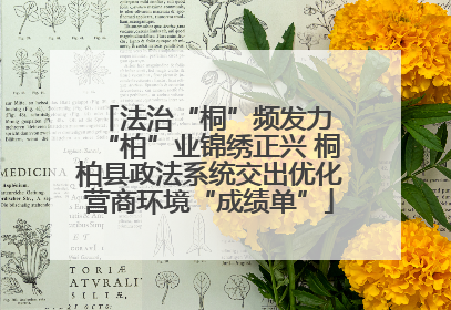 法治“桐”频发力 “柏”业锦绣正兴 桐柏县政法系统交出优化营商环境“成绩单”