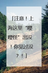 注意！上海这里“嘤嘤怪”出没！你见过没？！