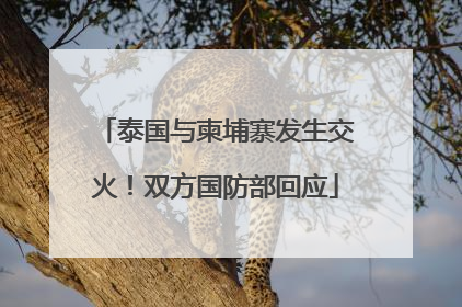 泰国与柬埔寨发生交火！双方国防部回应