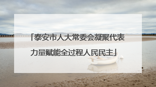 泰安市人大常委会凝聚代表力量赋能全过程人民民主