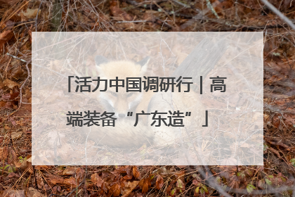 活力中国调研行｜高端装备“广东造”