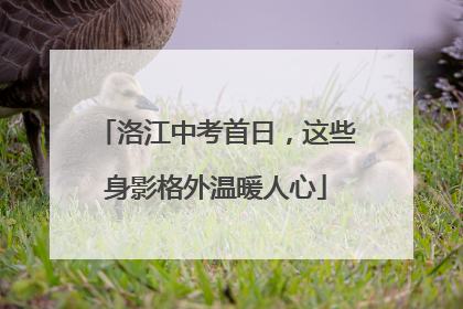 洛江中考首日，这些身影格外温暖人心