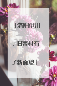 洛阳伊川：旧寨村有了新面貌