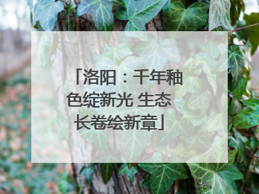 洛阳：千年釉色绽新光 生态长卷绘新章