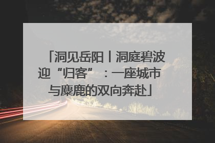 洞见岳阳丨洞庭碧波迎“归客”：一座城市与麋鹿的双向奔赴