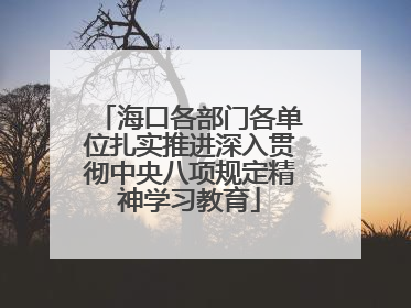海口各部门各单位扎实推进深入贯彻中央八项规定精神学习教育