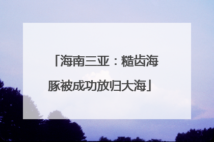 海南三亚：糙齿海豚被成功放归大海