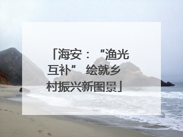 海安：“渔光互补” 绘就乡村振兴新图景