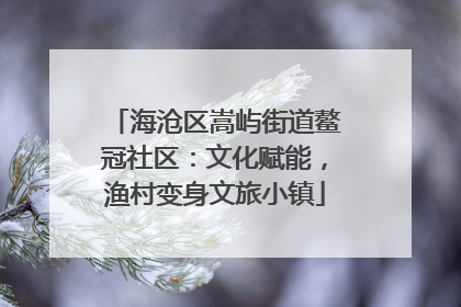 海沧区嵩屿街道鳌冠社区：文化赋能，渔村变身文旅小镇