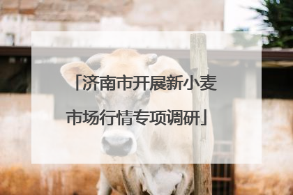 济南市开展新小麦市场行情专项调研