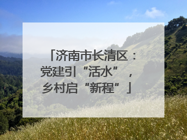 济南市长清区：党建引“活水”，乡村启“新程”