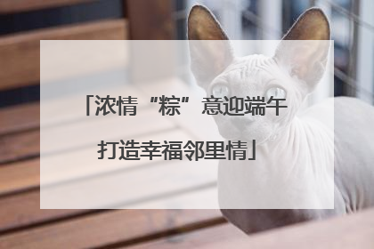 浓情“粽”意迎端午 打造幸福邻里情