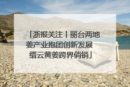 浙报关注丨丽台两地姜产业抱团创新发展 缙云黄姜跨界俏销