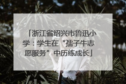 浙江省绍兴市鲁迅小学：学生在“孺子牛志愿服务”中历练成长