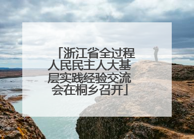 浙江省全过程人民民主人大基层实践经验交流会在桐乡召开