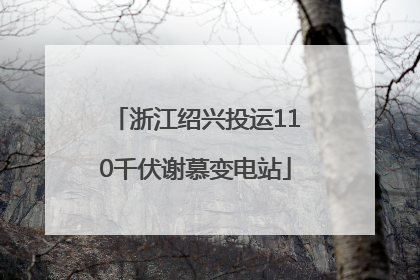 浙江绍兴投运110千伏谢慕变电站