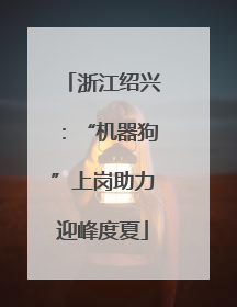 浙江绍兴：“机器狗”上岗助力迎峰度夏