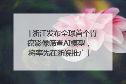 浙江发布全球首个胃癌影像筛查AI模型，将率先在浙皖推广