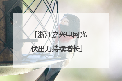 浙江嘉兴电网光伏出力持续增长