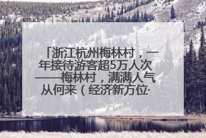 浙江杭州梅林村，一年接待游客超5万人次——梅林村，满满人气从何来（经济新方位·农村消费观察）