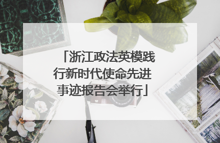 浙江政法英模践行新时代使命先进事迹报告会举行