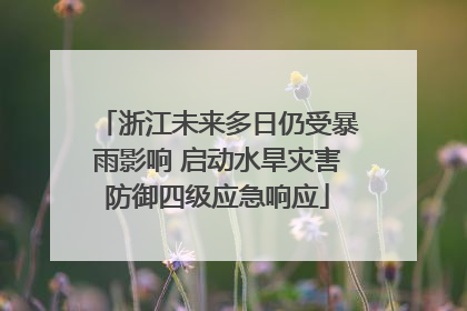 浙江未来多日仍受暴雨影响 启动水旱灾害防御四级应急响应
