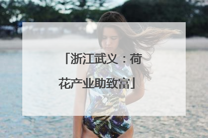 浙江武义：荷花产业助致富