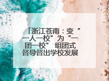 浙江苍南：变“一人一校”为“一团一校” 组团式督导督出学校发展加速度