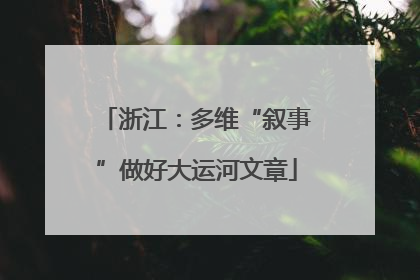 浙江：多维“叙事”做好大运河文章