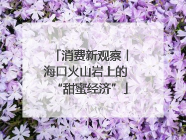消费新观察丨海口火山岩上的“甜蜜经济”