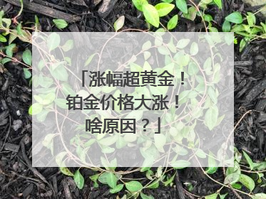 涨幅超黄金！铂金价格大涨！啥原因？