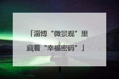 淄博“微景观”里藏着“幸福密码”