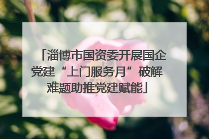 淄博市国资委开展国企党建“上门服务月”破解难题助推党建赋能